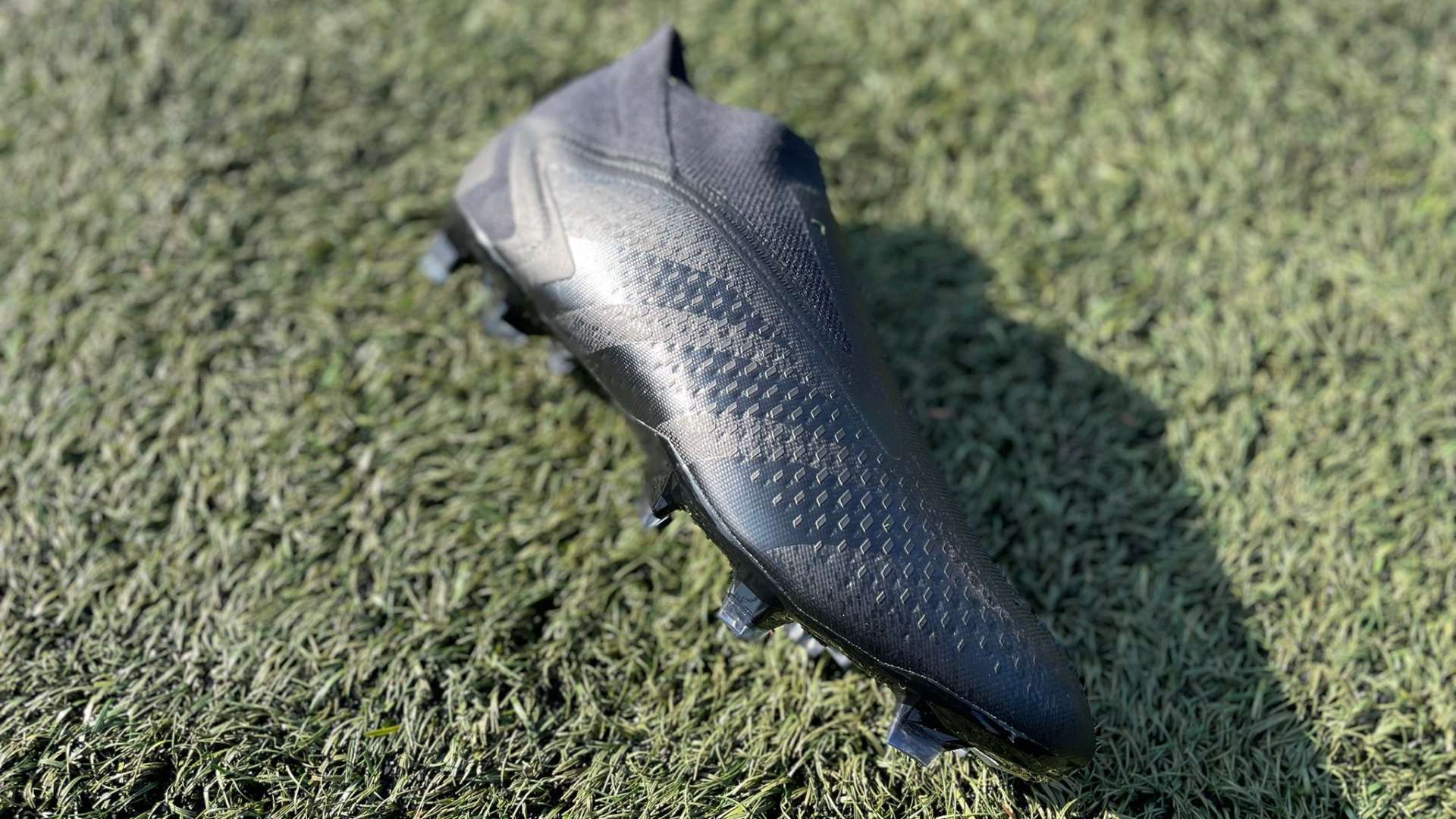 在過去的預 在過去的預