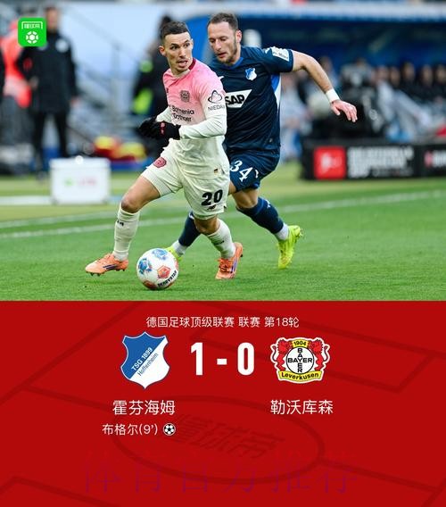 布格尔进球 霍芬海姆战胜勒沃库森